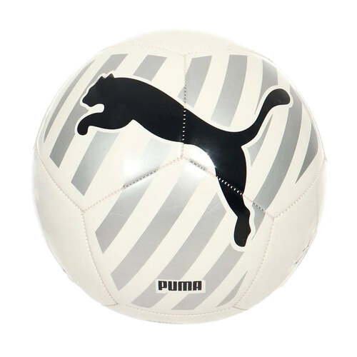 PELOTA PUMA #5 083994-03