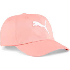 GORRA PUMA ARCHIVE LOGO BB CAP-022554 27