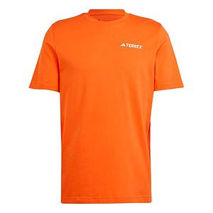 POLO TX LOGO TEE HY1694 