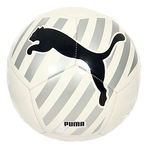 PELOTA PUMA #5 083994-03